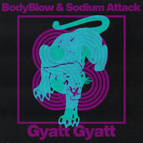 Gyatt Gyatt