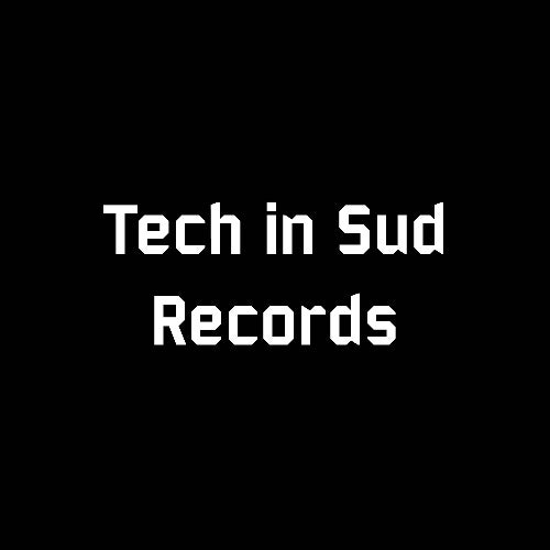 Tech In Sud Records