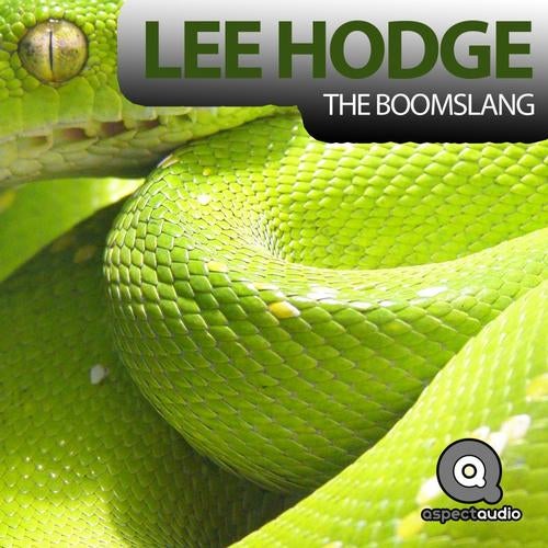 The Boomslang