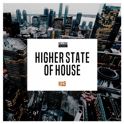 Higher State of House, Vol. 15