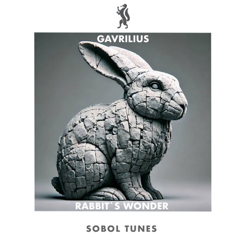 Rabbit´s Wonder