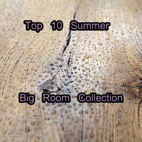 Top 10 Summer Big Room Collection