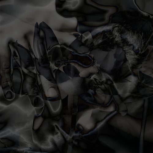 Sva001