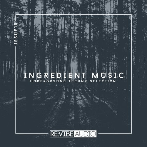 Cover art for Ingredient Music, Vol. 10