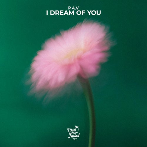 I Dream of You
