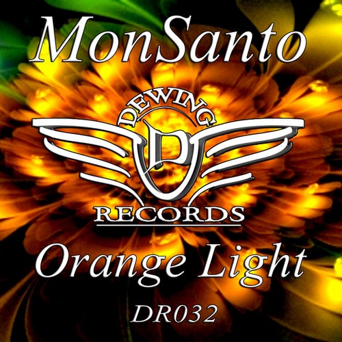 Orange Light