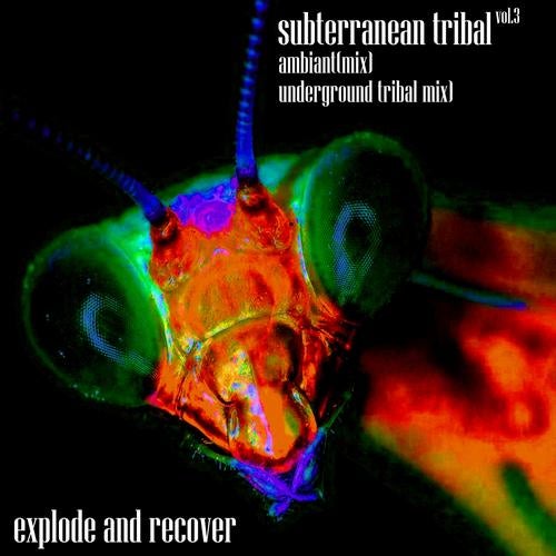 Subterranean Tribal Vol.3