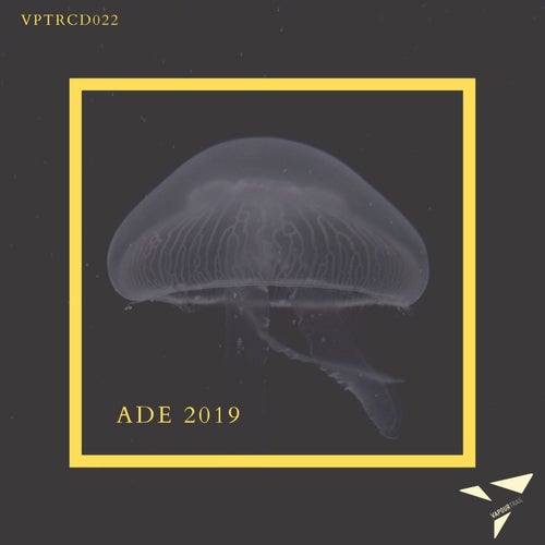 Tunes of ADE 2019