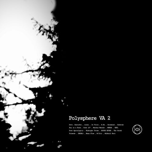 Cover art for Polysphere, Vol. 2