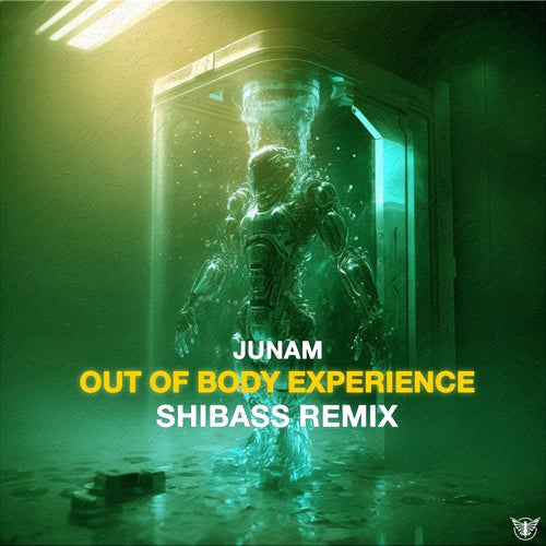 VA | Junam - Out Of Body Experience (Shibass Remix) 2024 год Скачать Онлайн в Mp3 (Бесплатно)