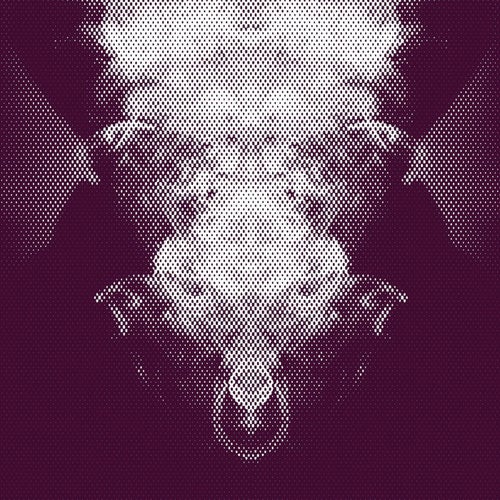 Reflections