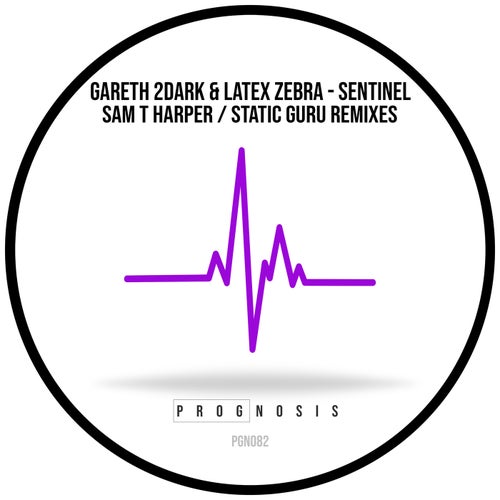  Gareth 2Dark & Latex Zebra - Sentinel (2026) 