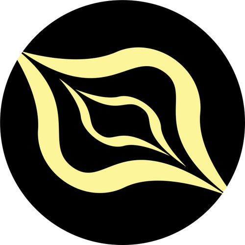 Il Cervello