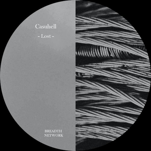 Cover art for Lost