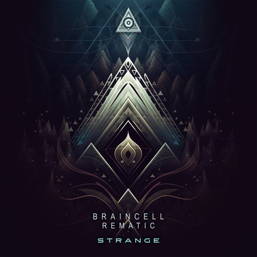 VA - Braincell & Rematic - Strange (2023) (MP3)