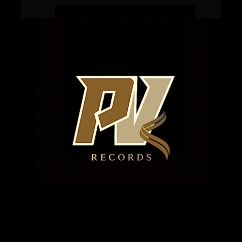 Panam Vibes Records