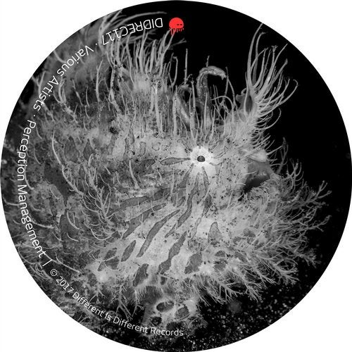 Cover art for Perception Management