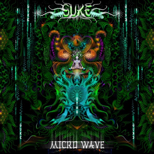 Micro Wave