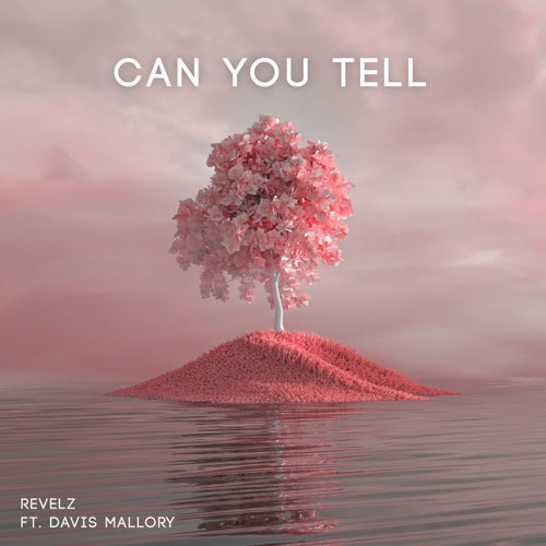 Can You Tell