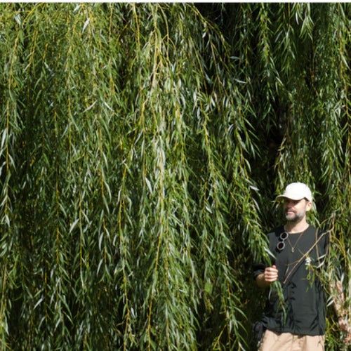 Nhii October Selection