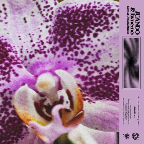 Orchid Design Studio