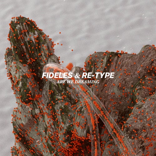  Fideles & Re-Type - Are We Dreaming (2024) 