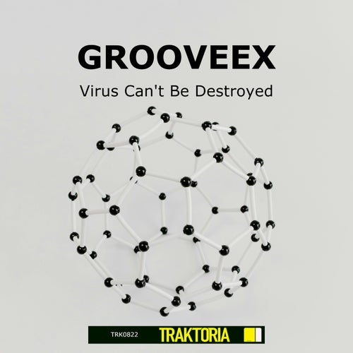 Virus Can't Be Destroyed