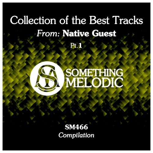 Collection of the Best Tracks From: Native Guest, Pt. 1