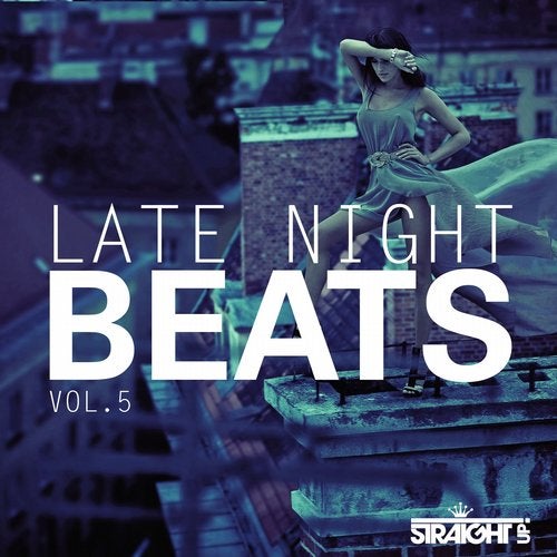 Cover art for Late Night Beats Vol. 5