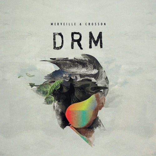 DRM LP Chart