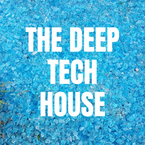 THE DEEP TECH HOUSE