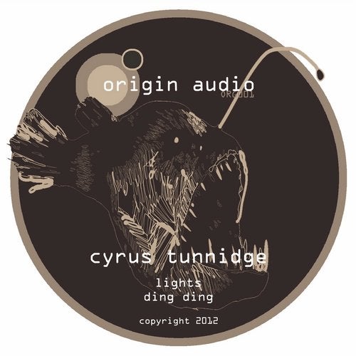 Cover art for Lights / Ding Ding