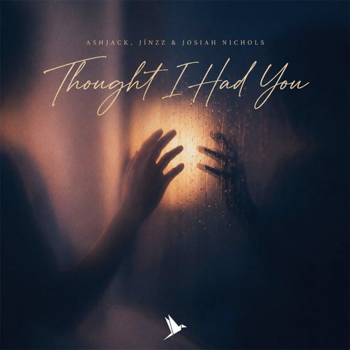 Thought I Had You