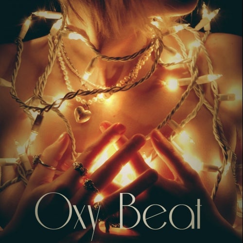 The Christmas Beat Selection