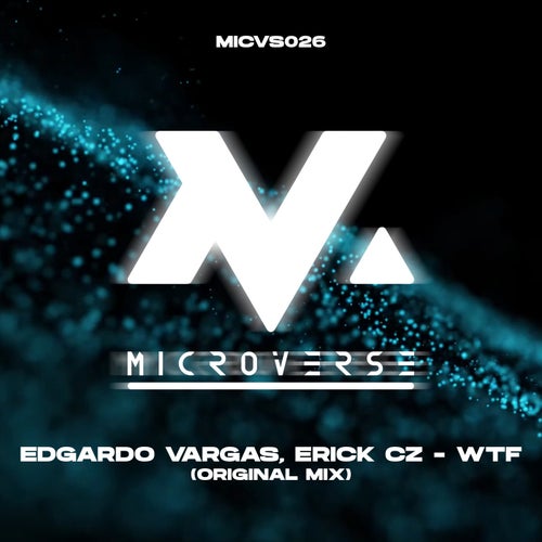 WTF (Original Mix)