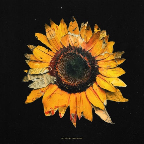 Tournesol