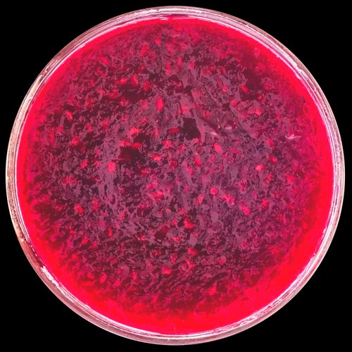 Mutation Blooding EP