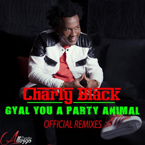 Charly Black - Gyal You a Party Animal (Kenny Hayes Remix) album artwork