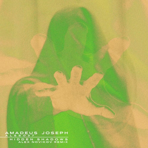Cover art for Hidden Shadows