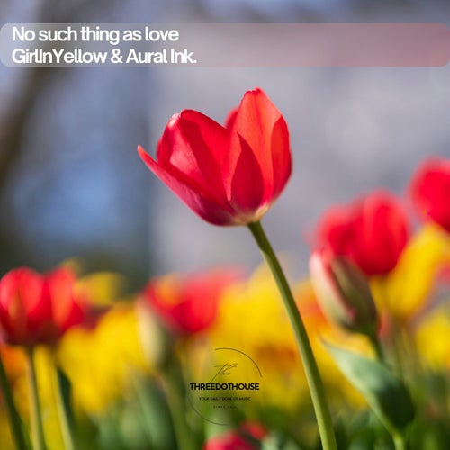 No Such Thing As Love