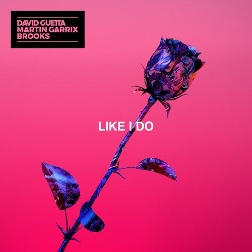 Like I Do (Extended)