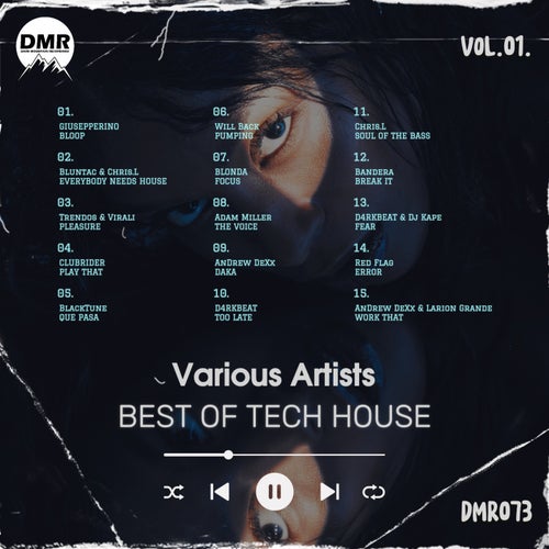BEST OF TECH HOUSE, Vol. 1. [Dark Mountain Recordings]