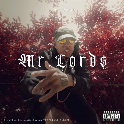 MR. LORDS