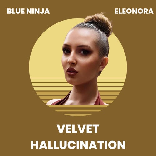Velvet Hallucination