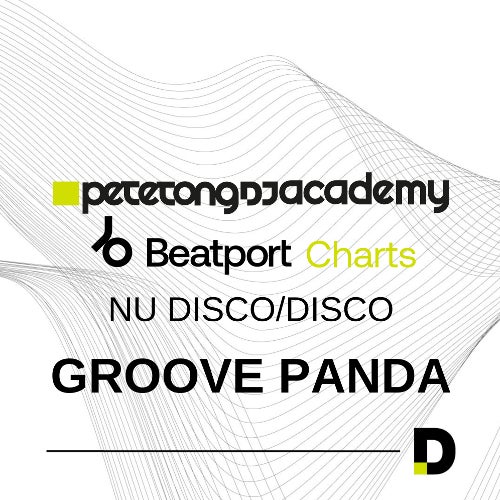 Groove Panda: Record Bag Challenge - Disco