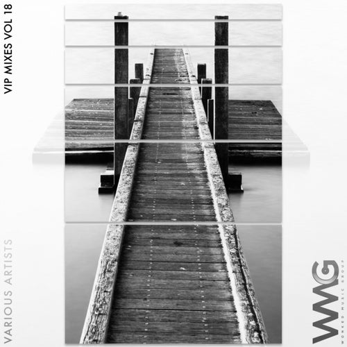 VIP Mixes, Vol. 18