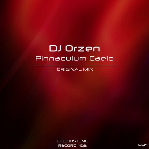 Cover art for Pinnaculum Caelo