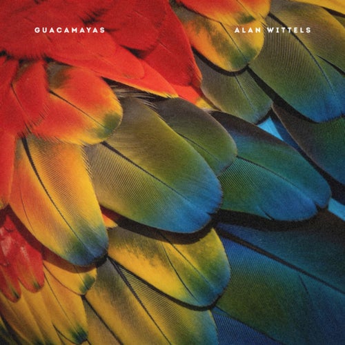 Guacamayas