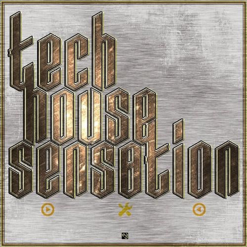 Tech House Sensation