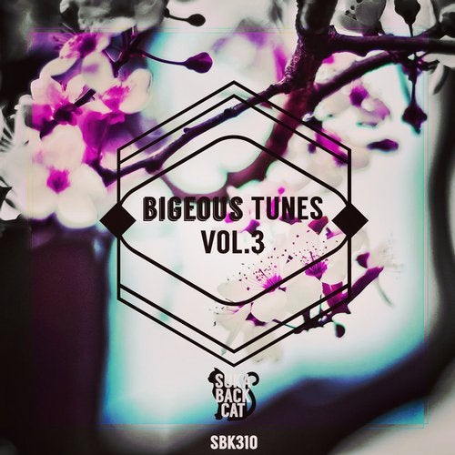 Cover art for Bigeous Tunes, Vol. 3